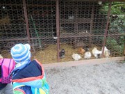 Výlet do svíčkárny Šestajovice